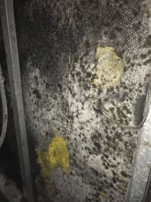 Moldy air ducts discount